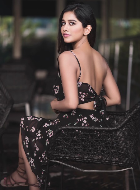 Nabha Natesh Photoshoot