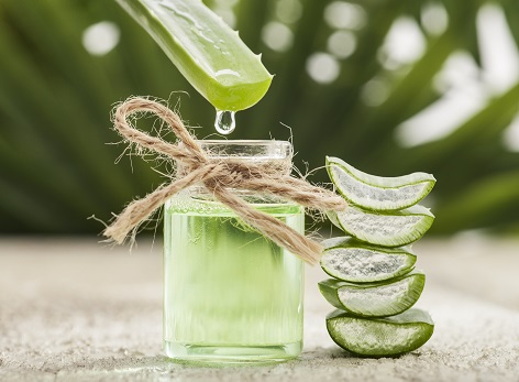 Aloe Vera for Wrinkles