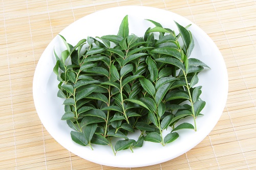 Curry Leaves