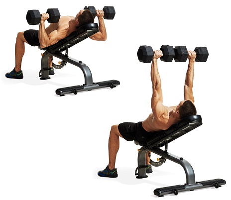 Incline Bench Dumbbell Press
