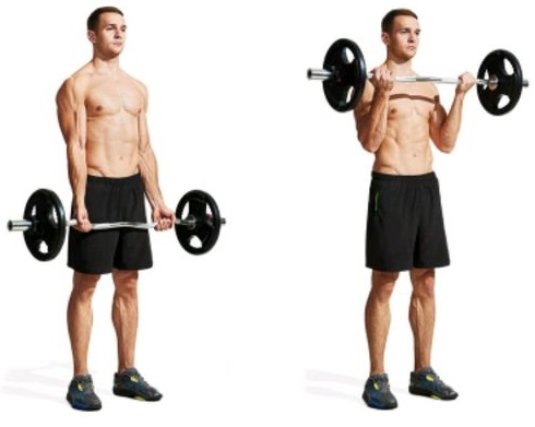 Lean Forward EZ Bar Curl