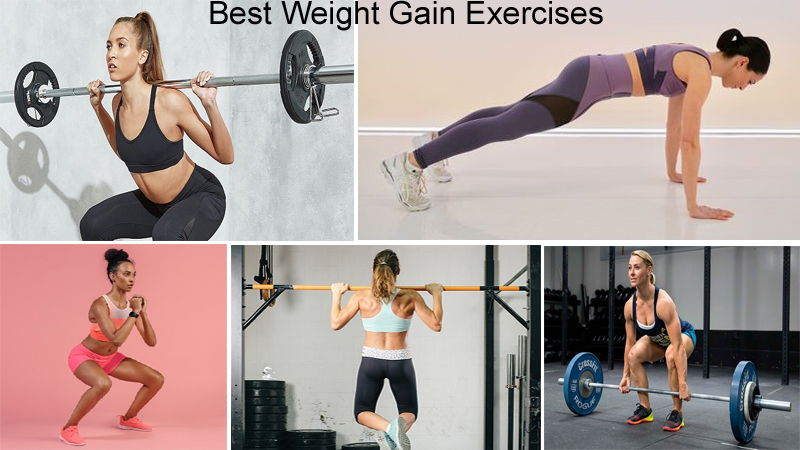 best weight gain exercises