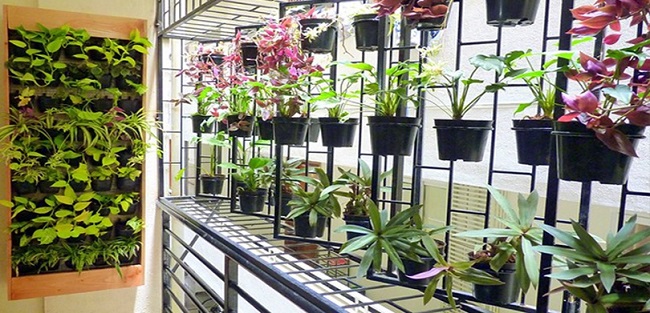 Balcony Grill Design with Flower Pots