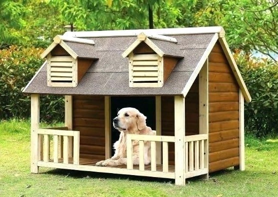 Dog Home Design