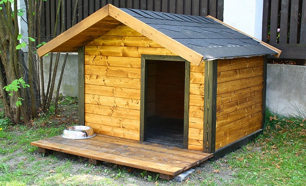 Dog House Design Outdoor