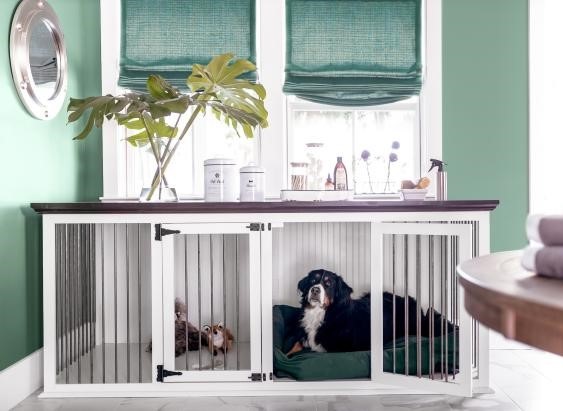 Dog Room Designs