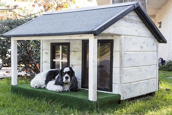 Latest Dog House Design