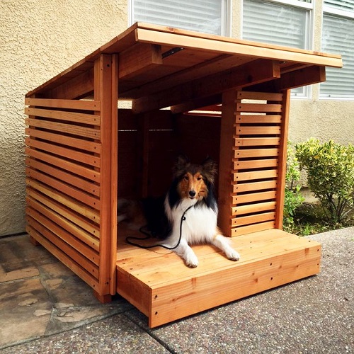 Puppy House Design