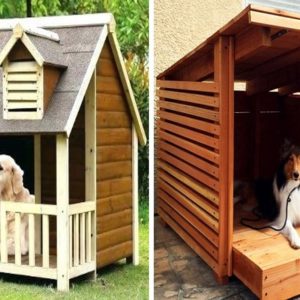 10 Simple and Best Dog House Design Ideas 2023