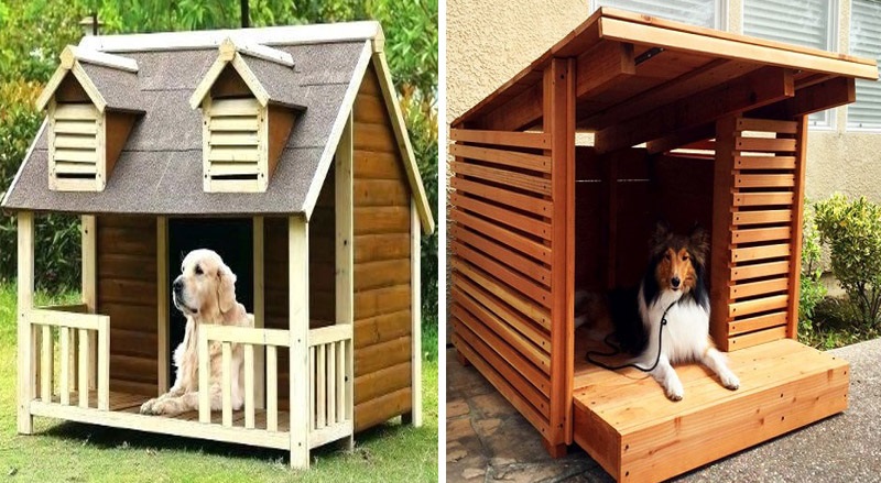 10 Simple and Best Dog House Design Ideas 2023