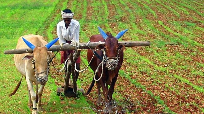 Different Types of Agriculture (Farming) In India 