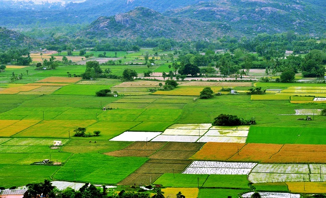 Different Types of Farming In India
