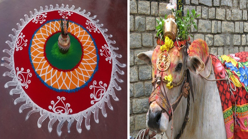 15 Traditional Sankranti Decoration Ideas At Home 2023
