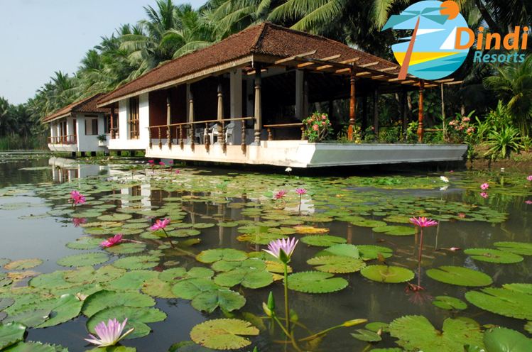 Dindi Resorts: Photos, Price, Amenities & Nearby Places